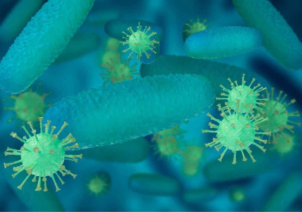 Microbiota intestinal-Pamplona